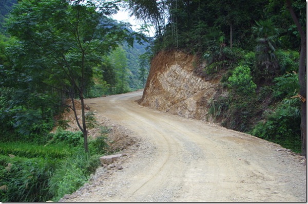 家乡的路3.jpg