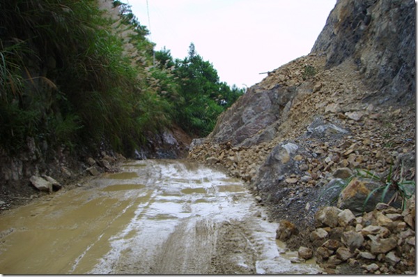 家乡的路.jpg