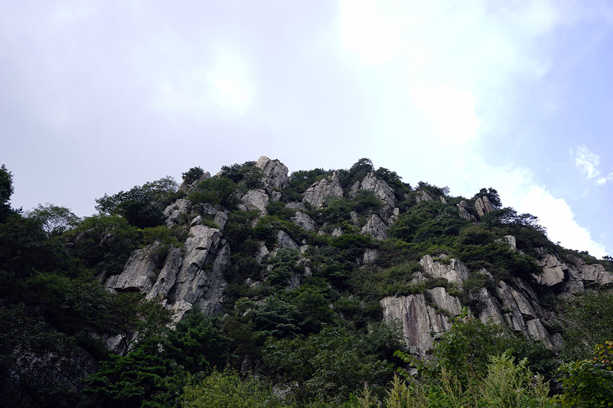 _DSC0771.jpg