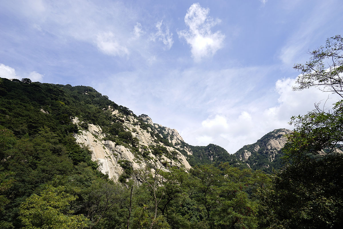_DSC0716.jpg