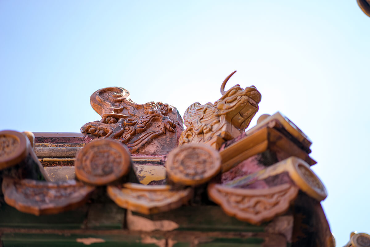 _DSC2093.jpg