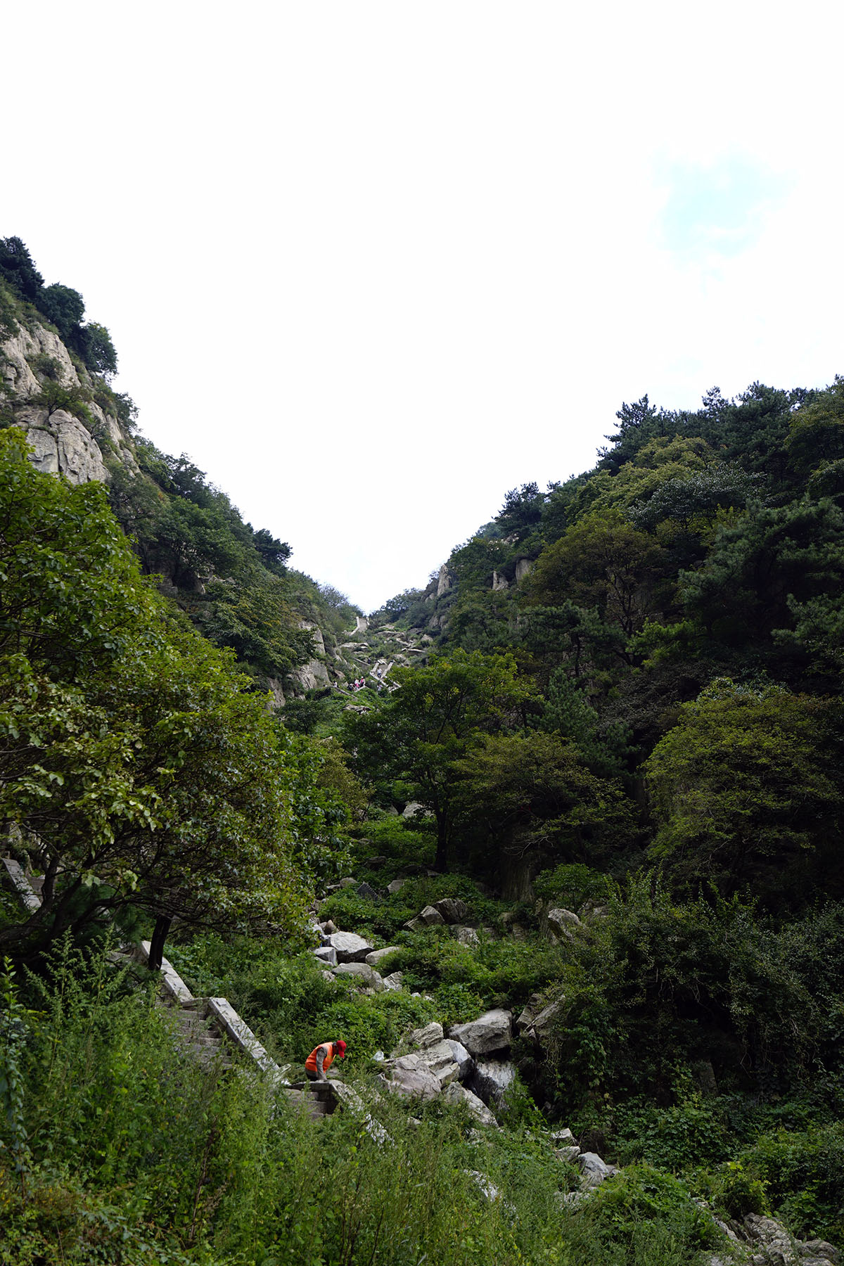 _DSC0754.jpg