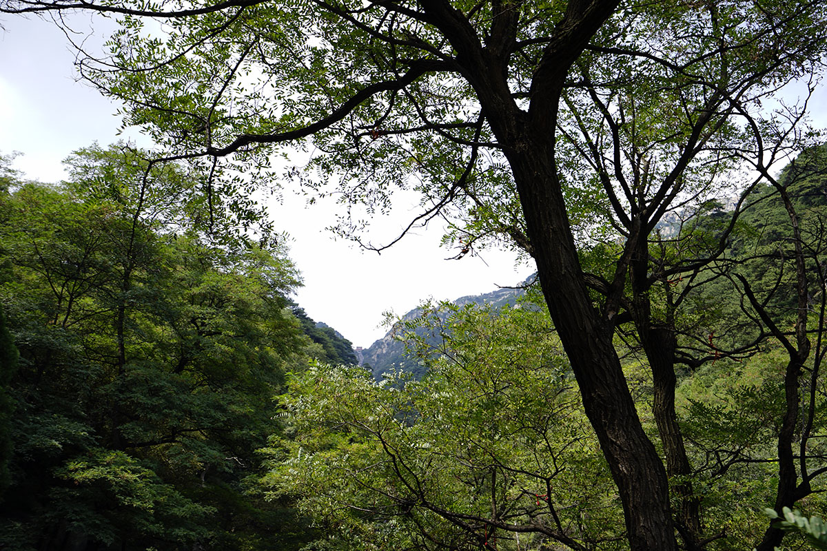_DSC0720.jpg