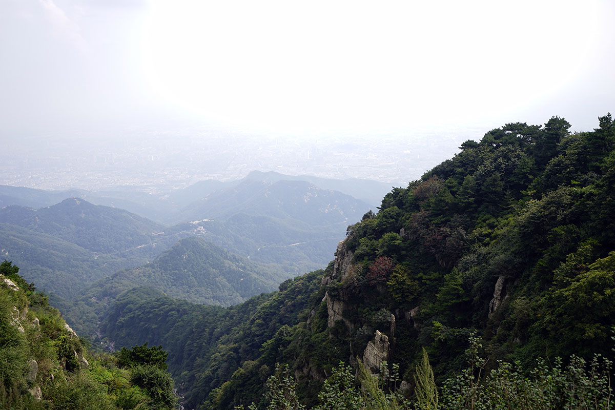 _DSC0812.jpg