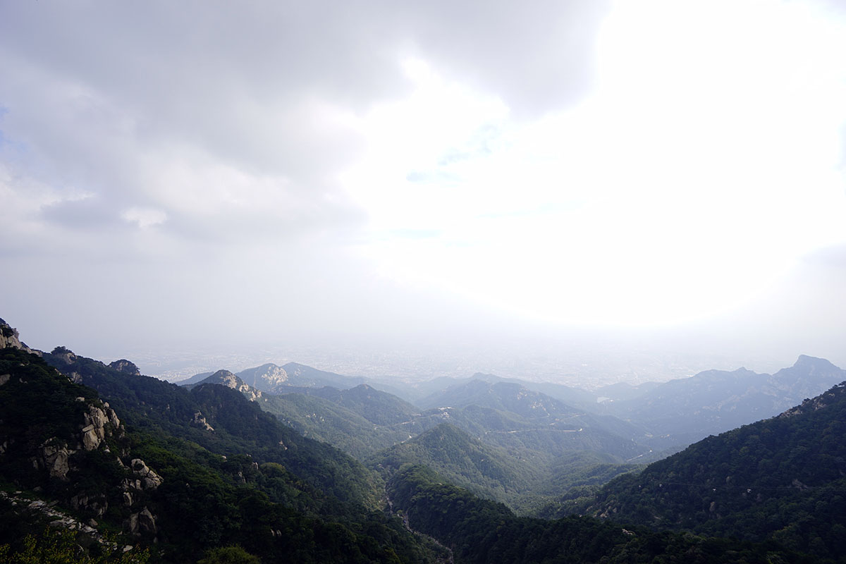 _DSC0817.jpg