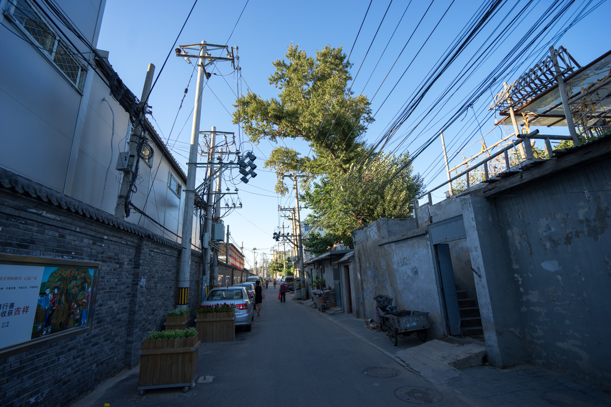 _DSC1750.jpg