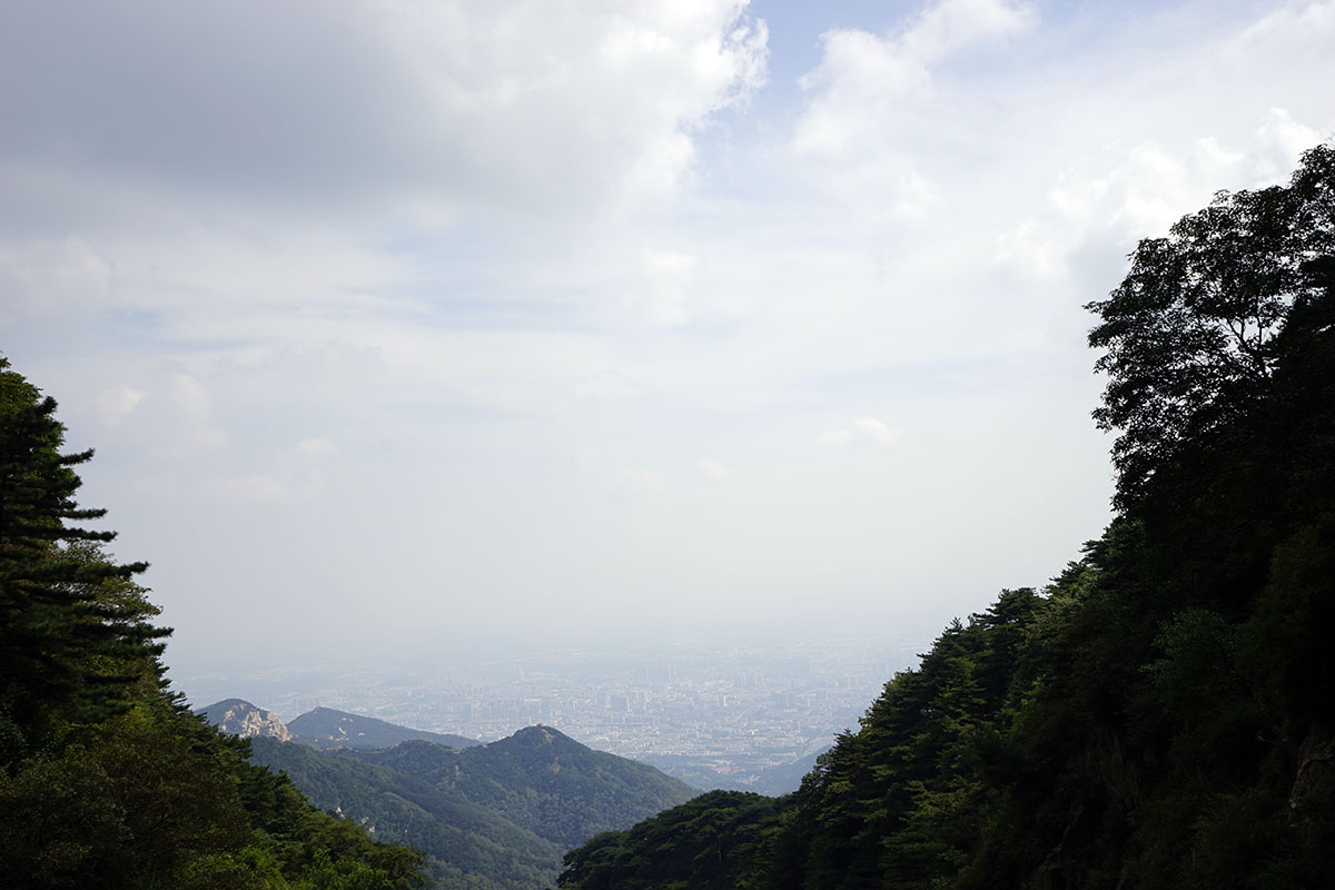 _DSC0742.jpg