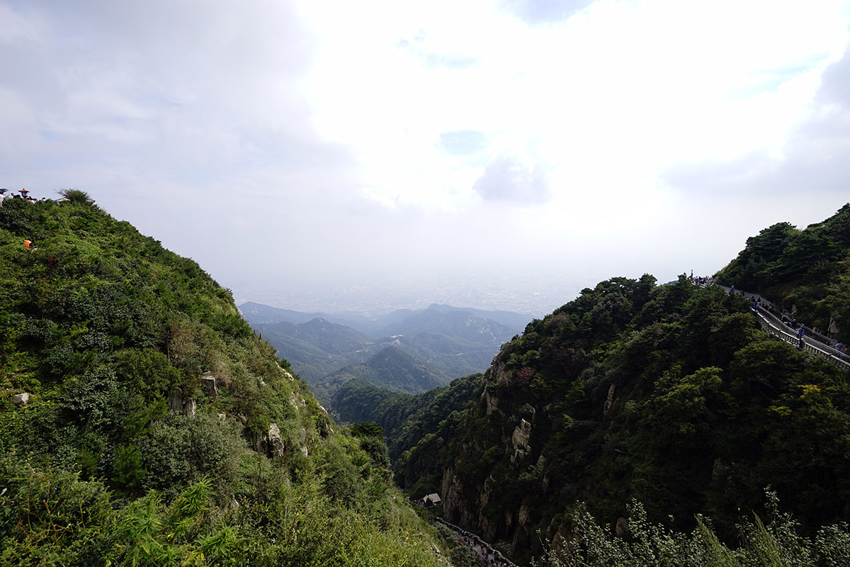 _DSC0801.jpg