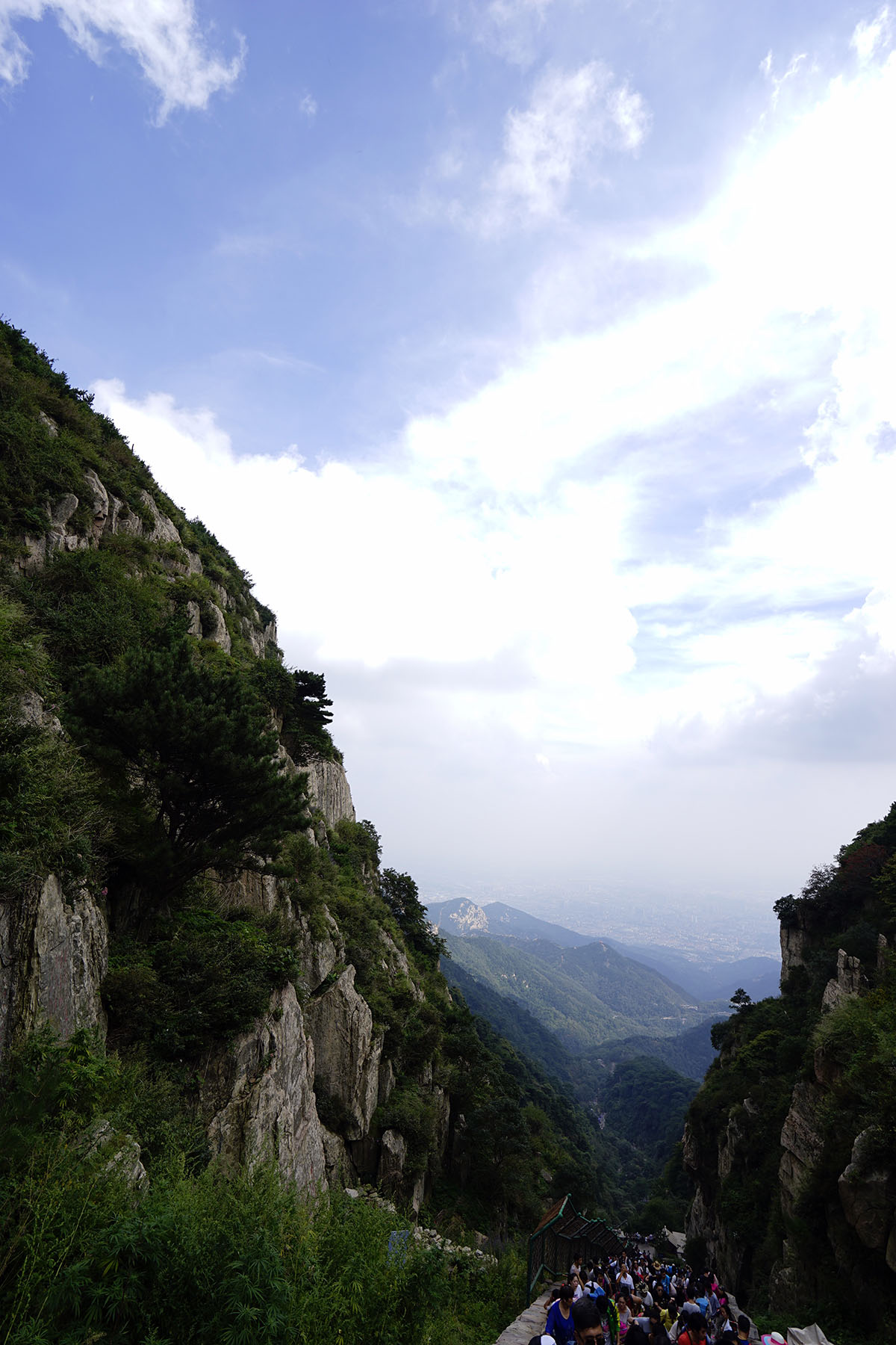 _DSC0790.jpg