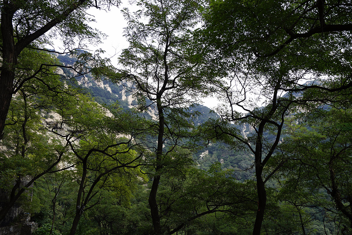 _DSC0710.jpg