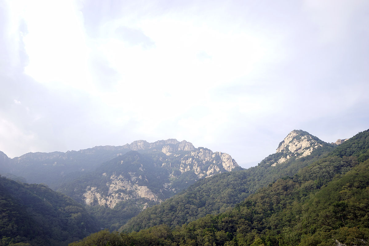 _DSC0981.jpg