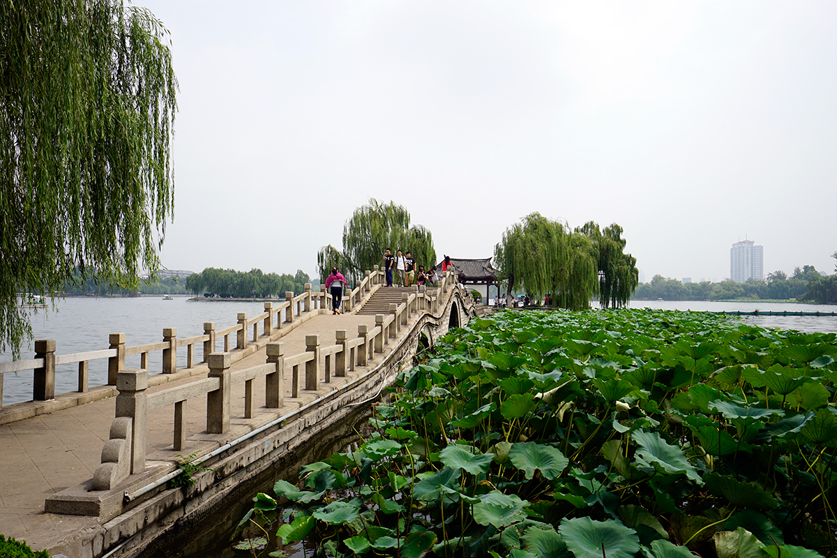 大明湖