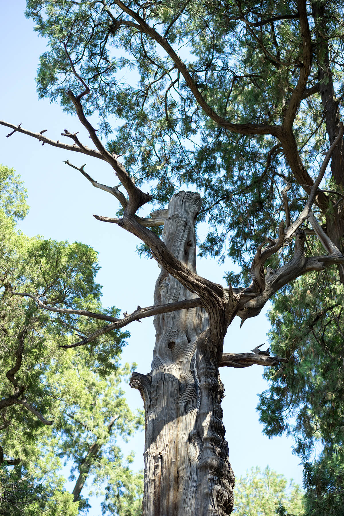_DSC2108.jpg