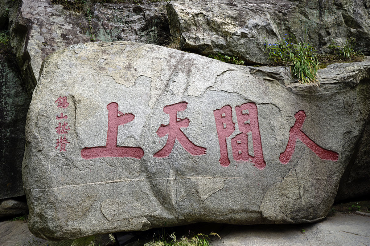 _DSC0677.jpg
