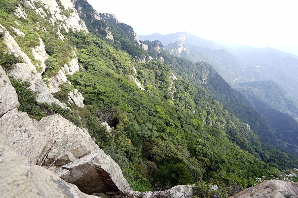 _DSC0873.jpg