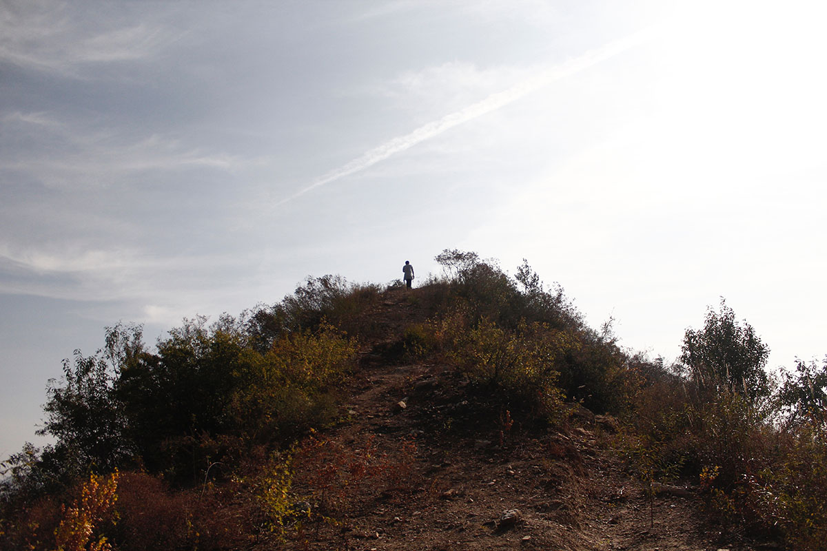_MG_7759.jpg