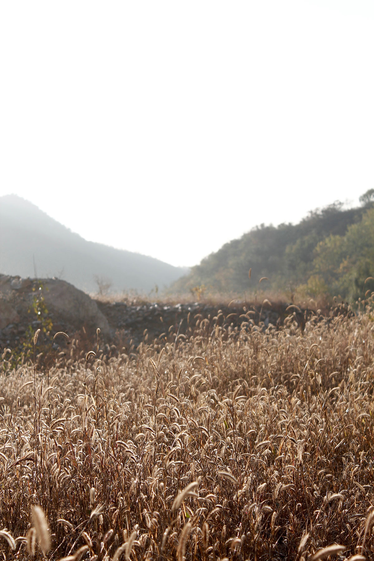 _MG_7602.jpg