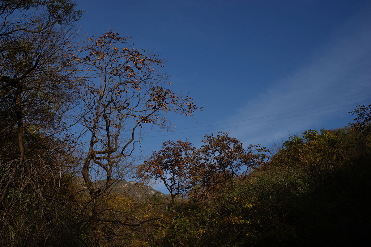 _DSC9227.jpg