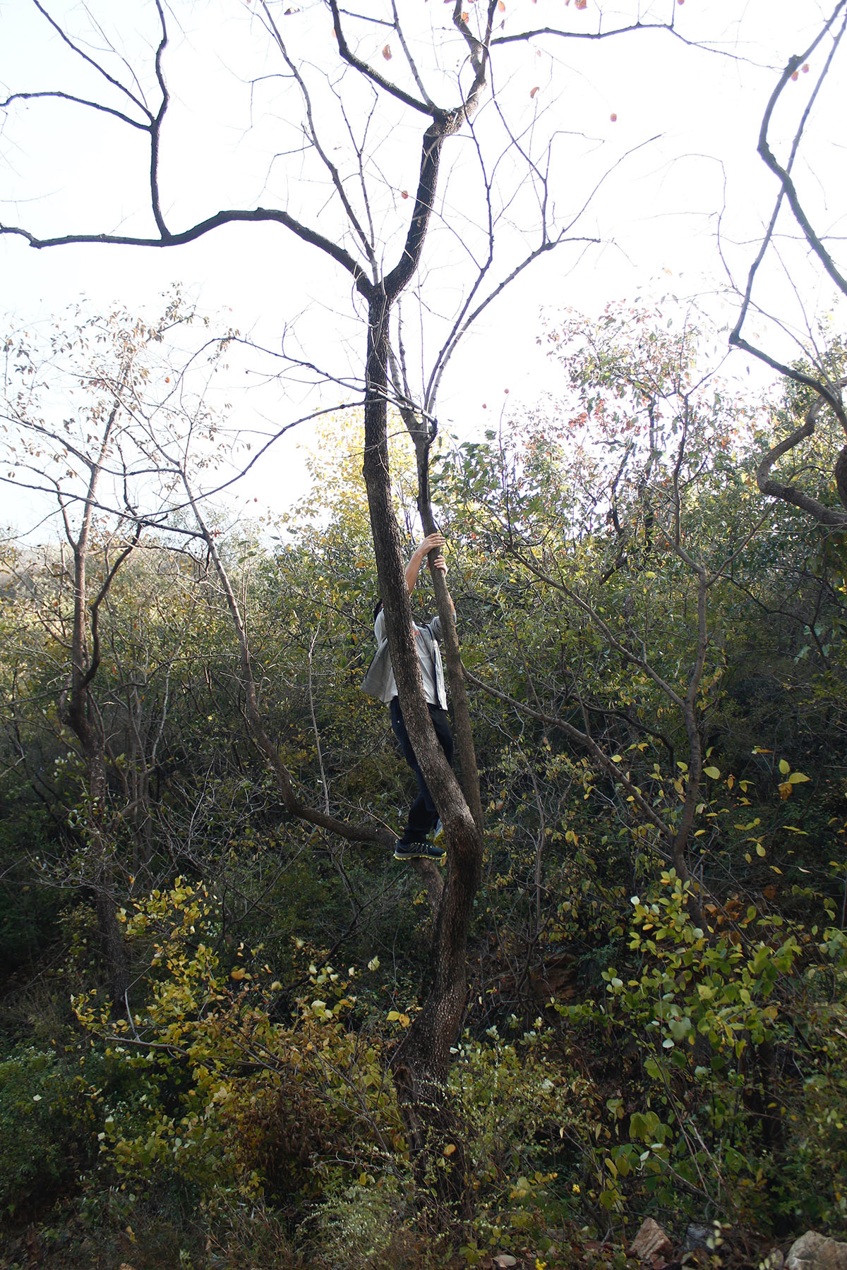 _MG_7658.jpg