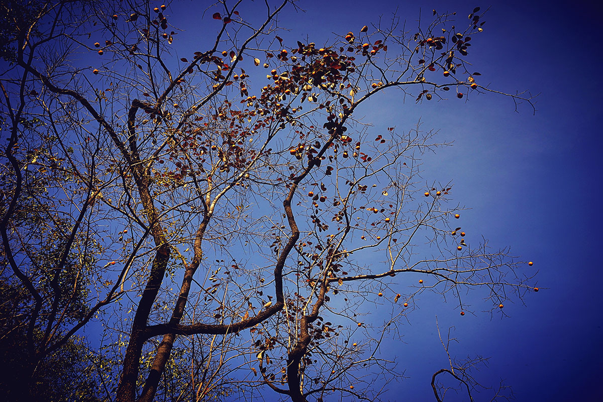 YGKF9103.jpg