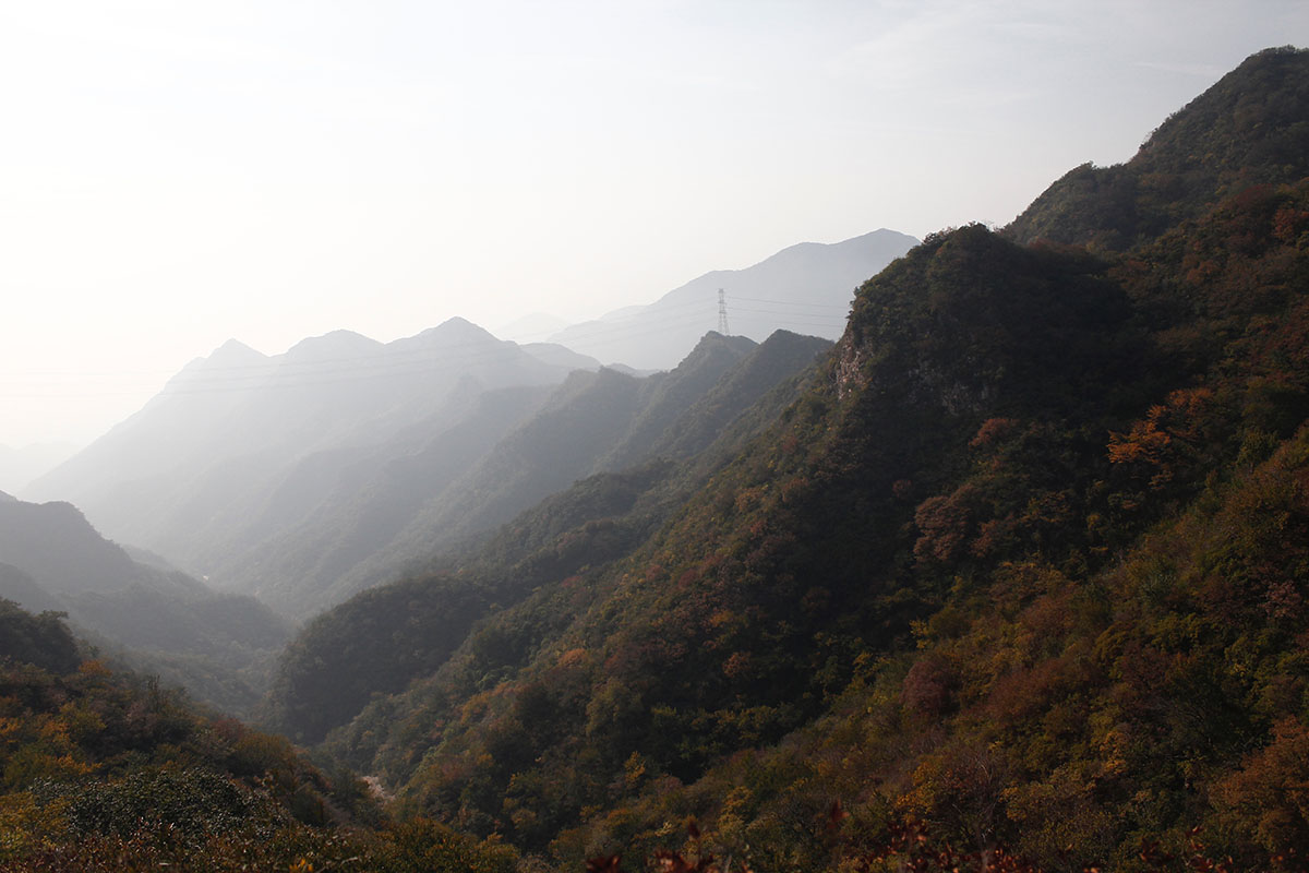 _MG_7773.jpg