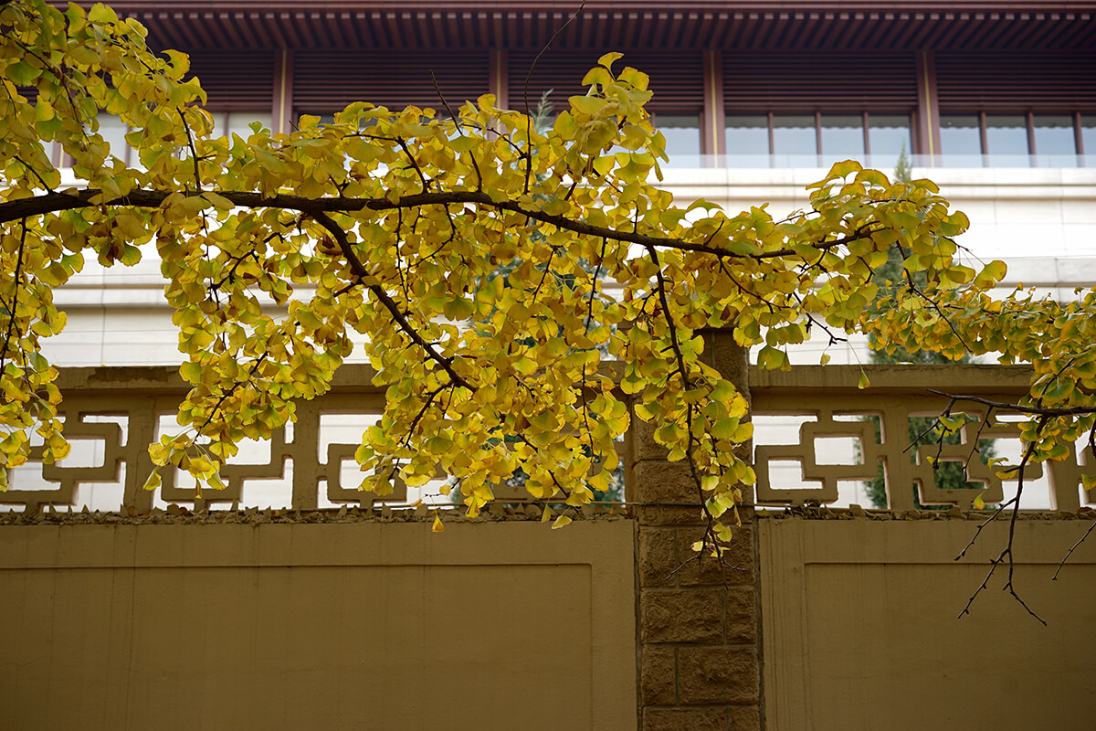 DSC00208.jpg