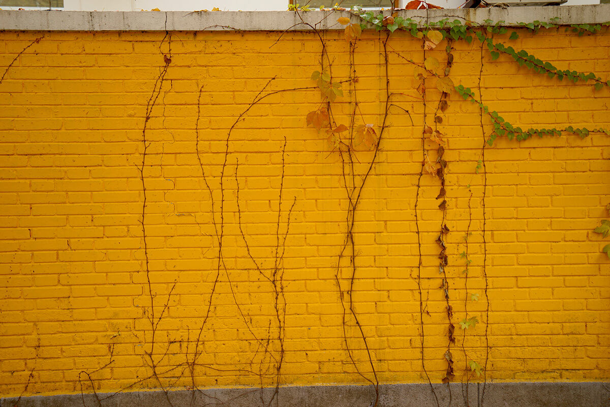 DSC00647.jpg