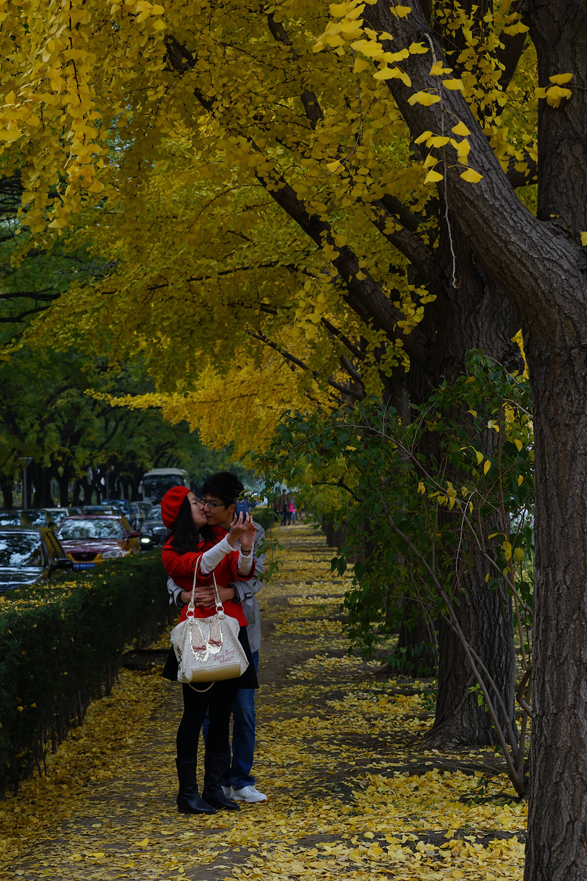 DSC00292.jpg