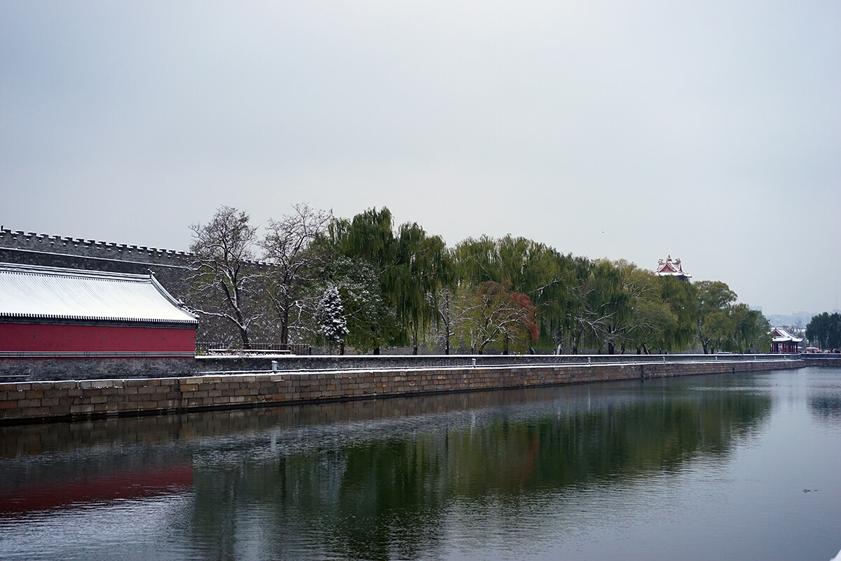 DSC01701.jpg