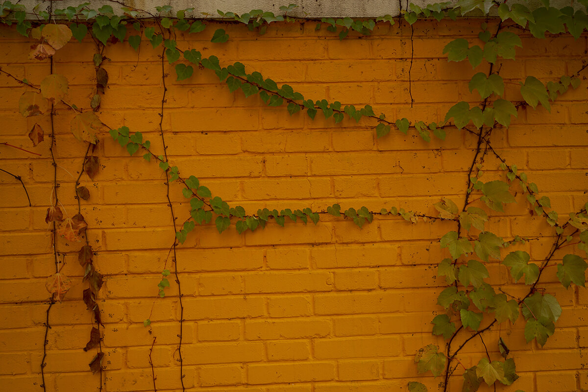 DSC00587.jpg