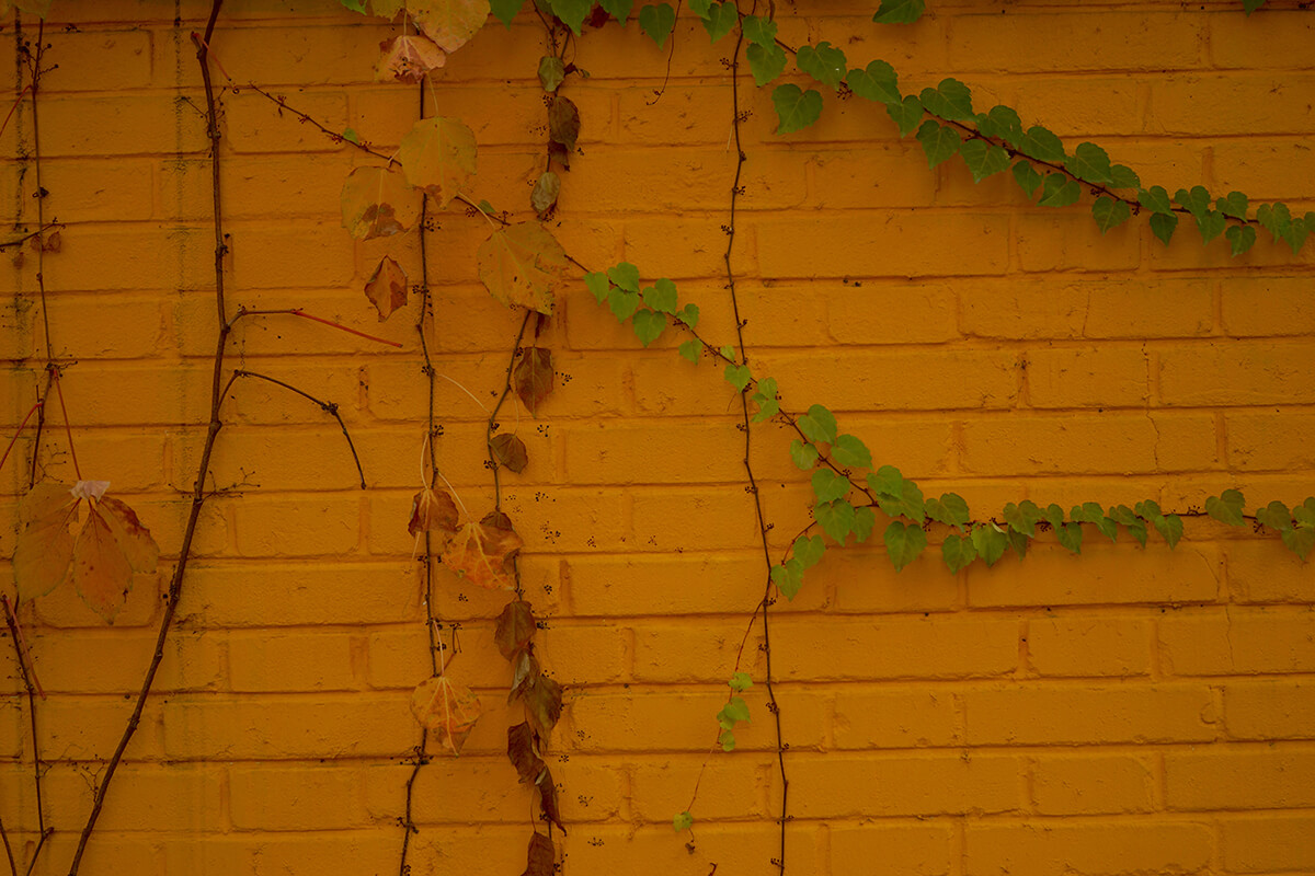 DSC00573.jpg