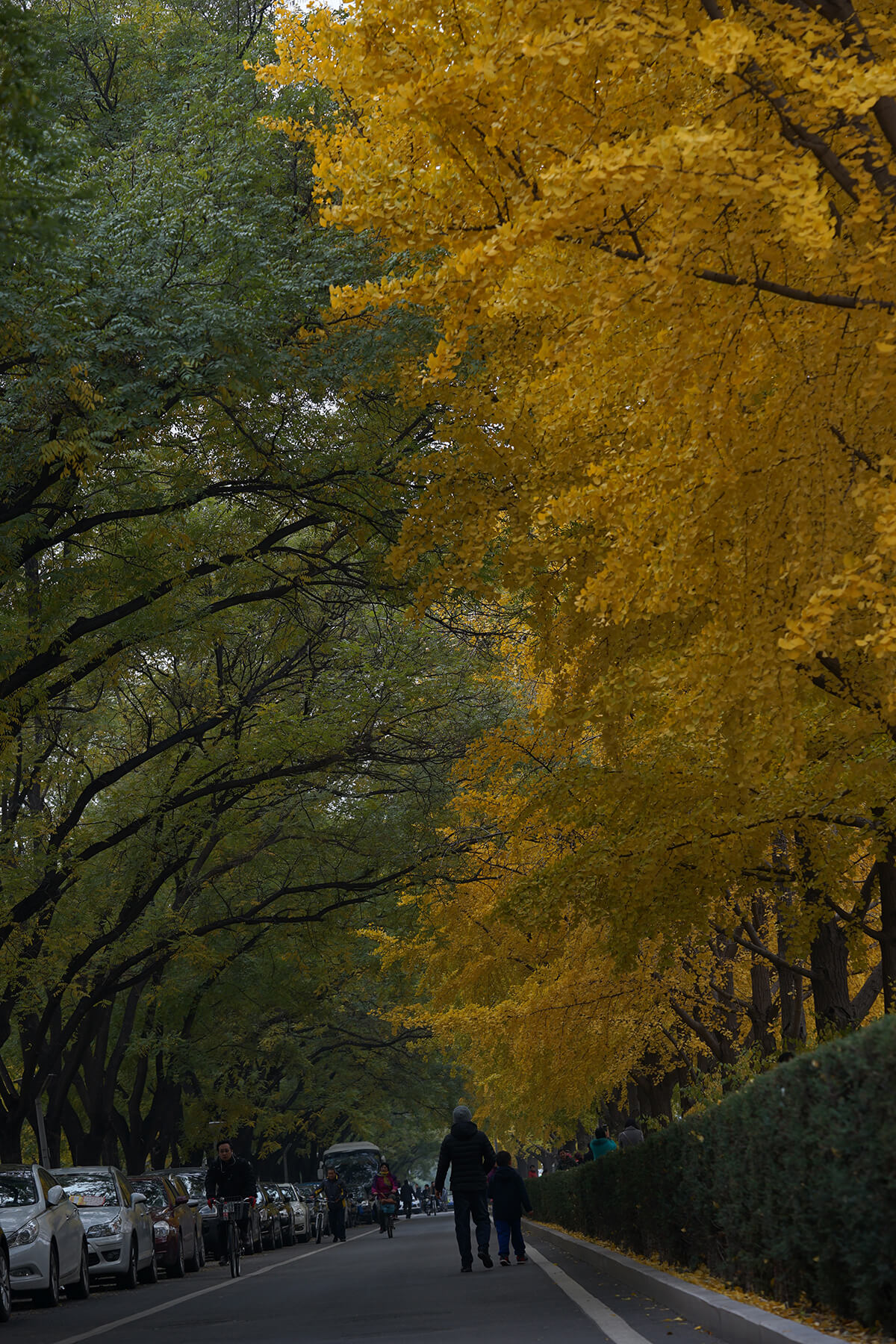 DSC00426.jpg