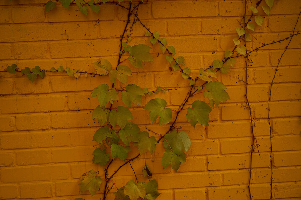 DSC00589.jpg