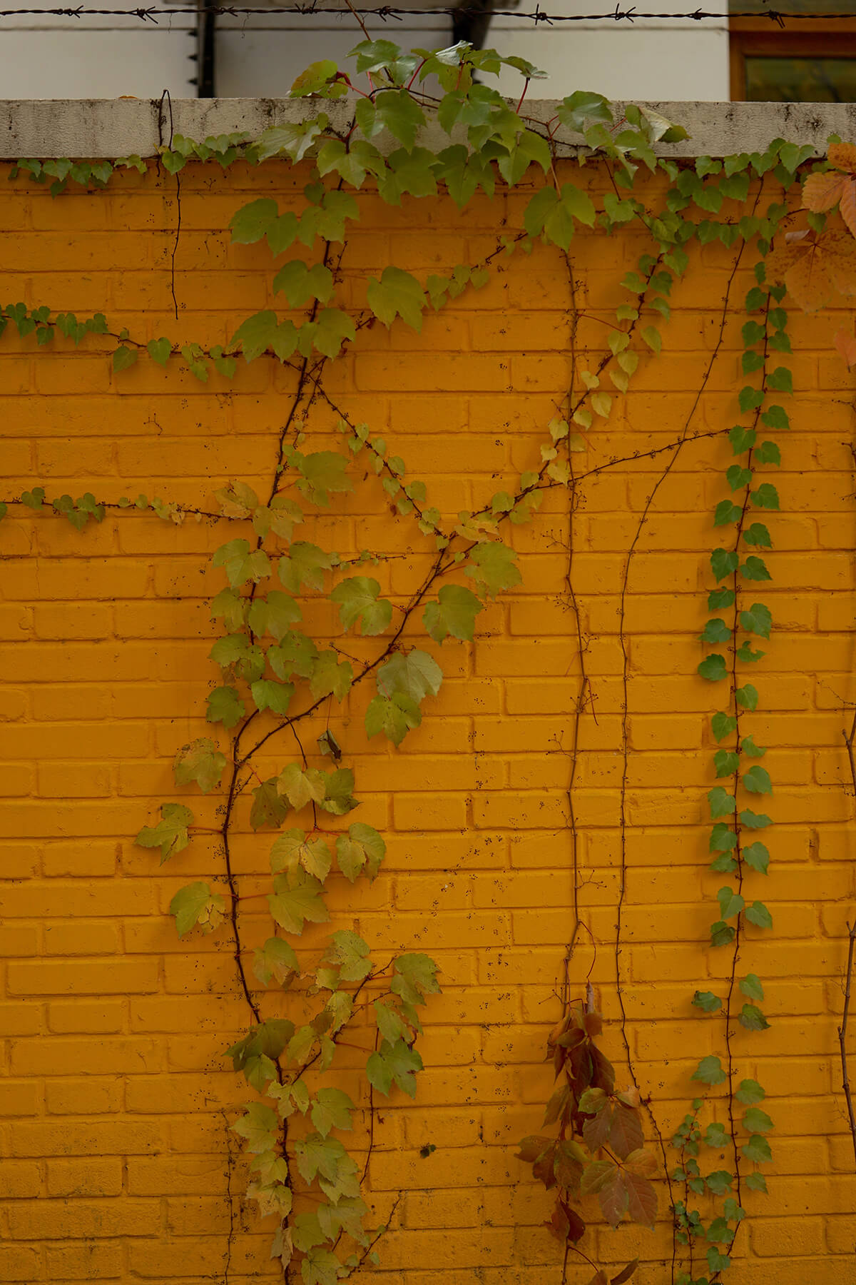 DSC00572.jpg