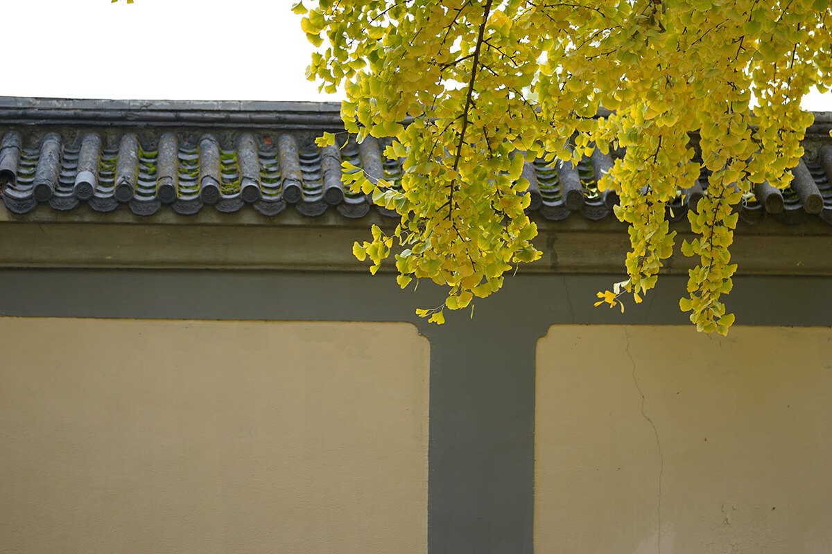 DSC00447.jpg