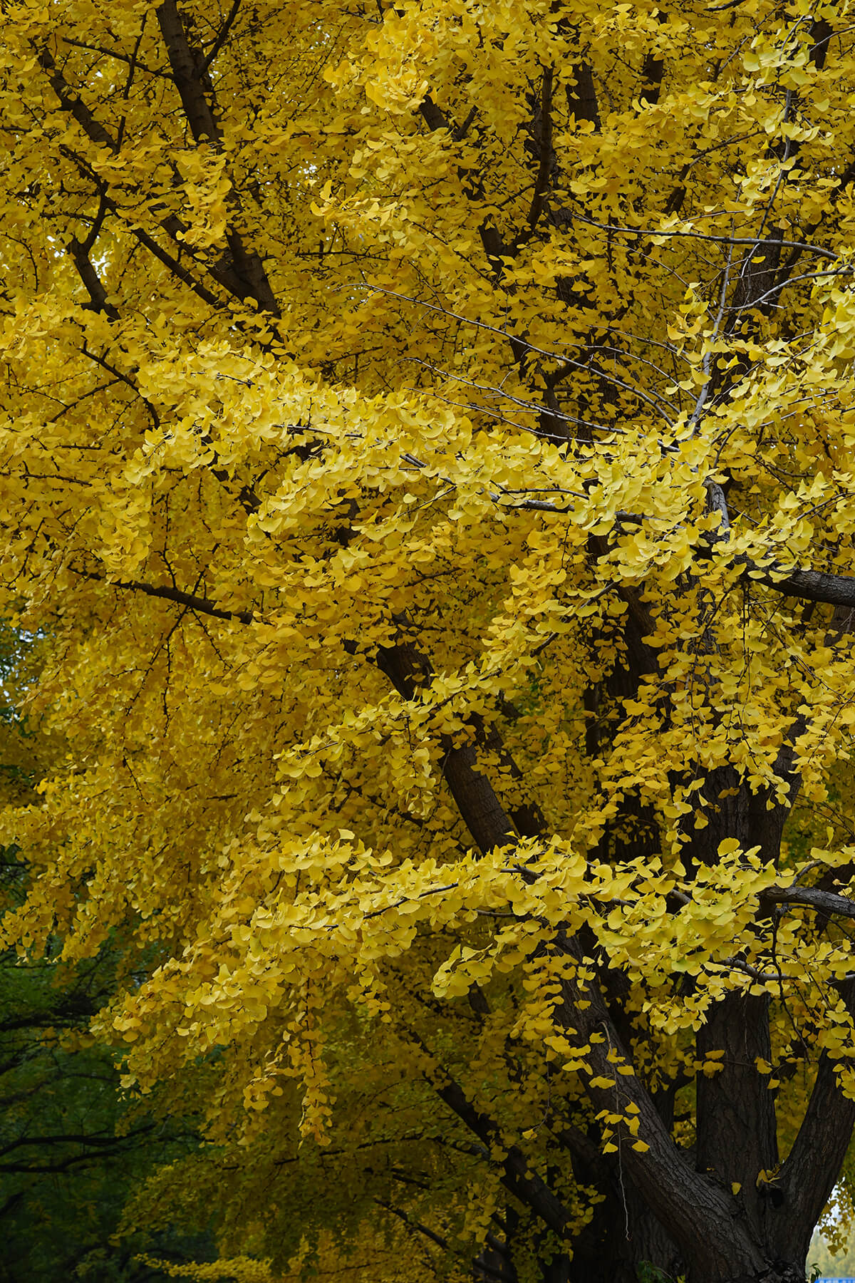 DSC00288.jpg