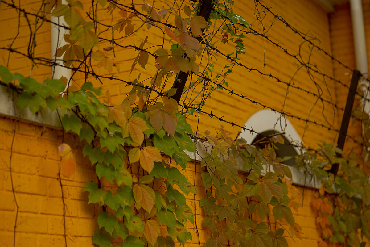 DSC00574.jpg