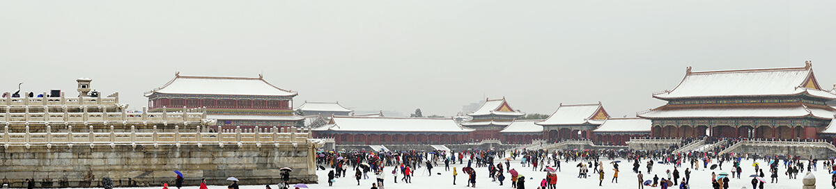 DSC01453.jpg