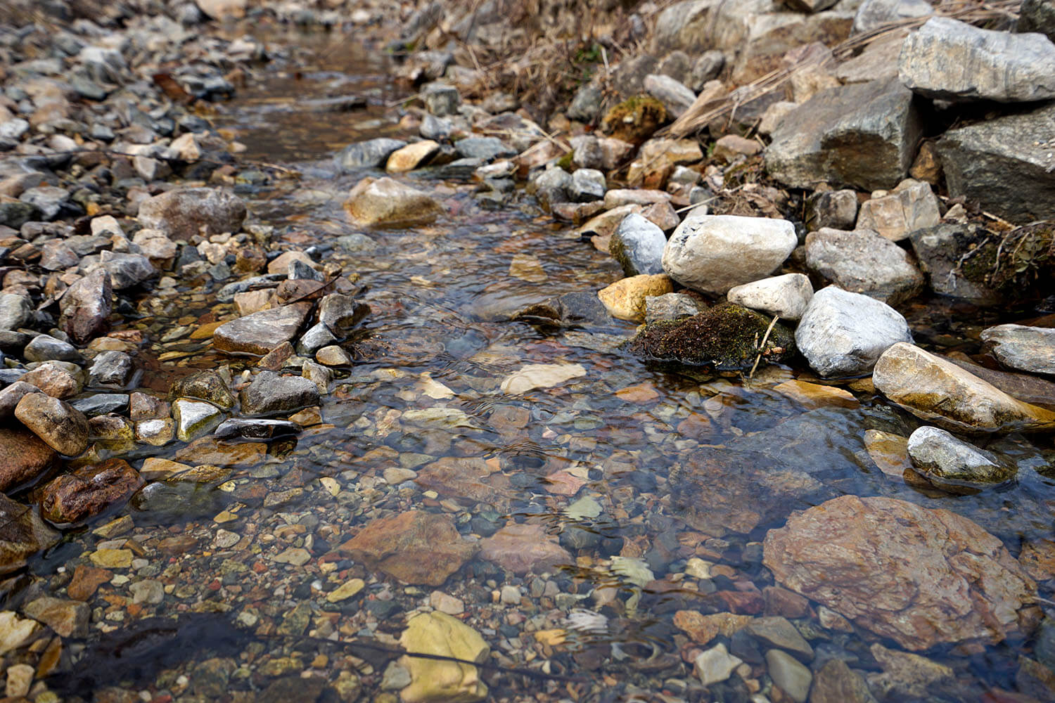 _DSC3797.jpg