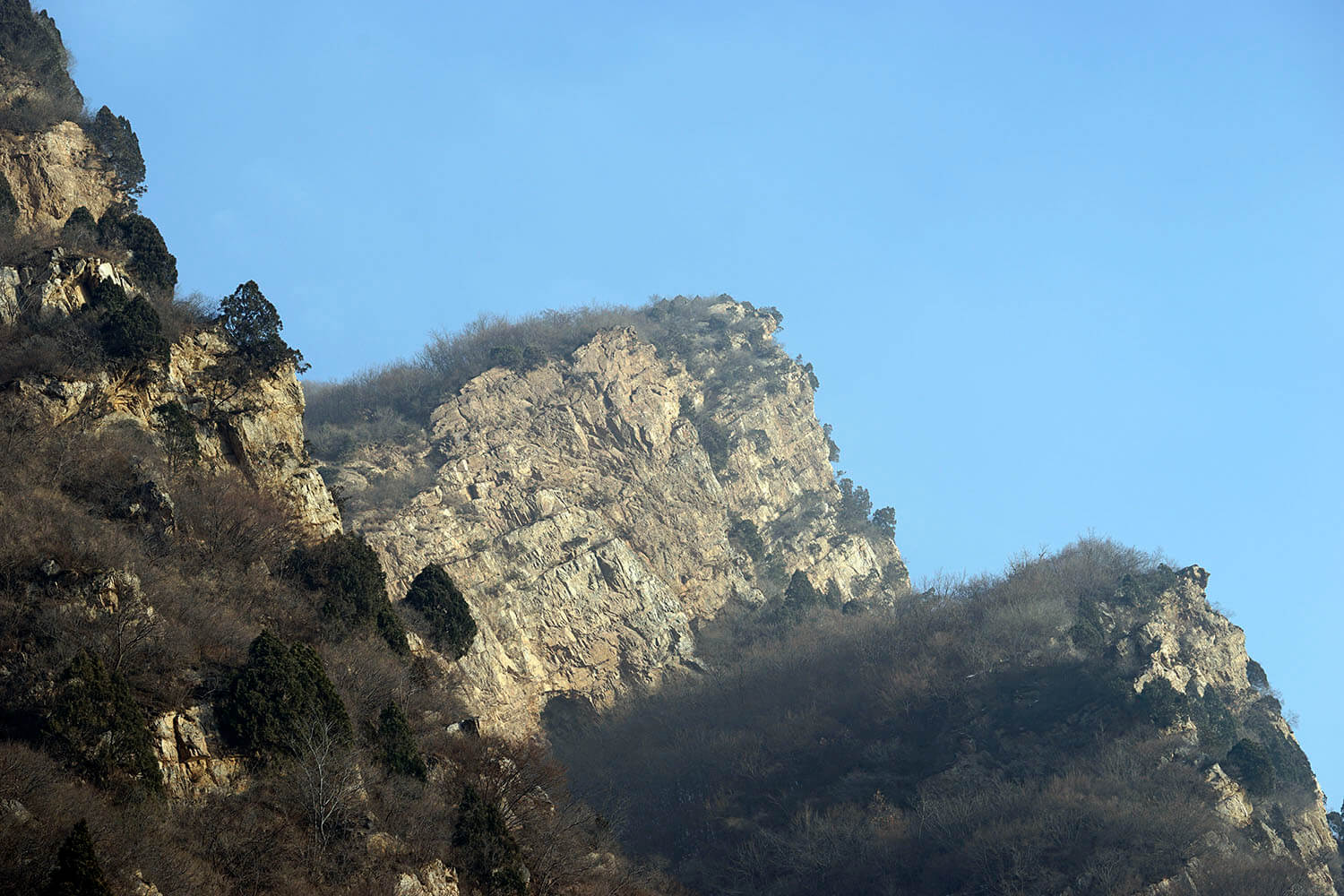 _DSC3768.jpg