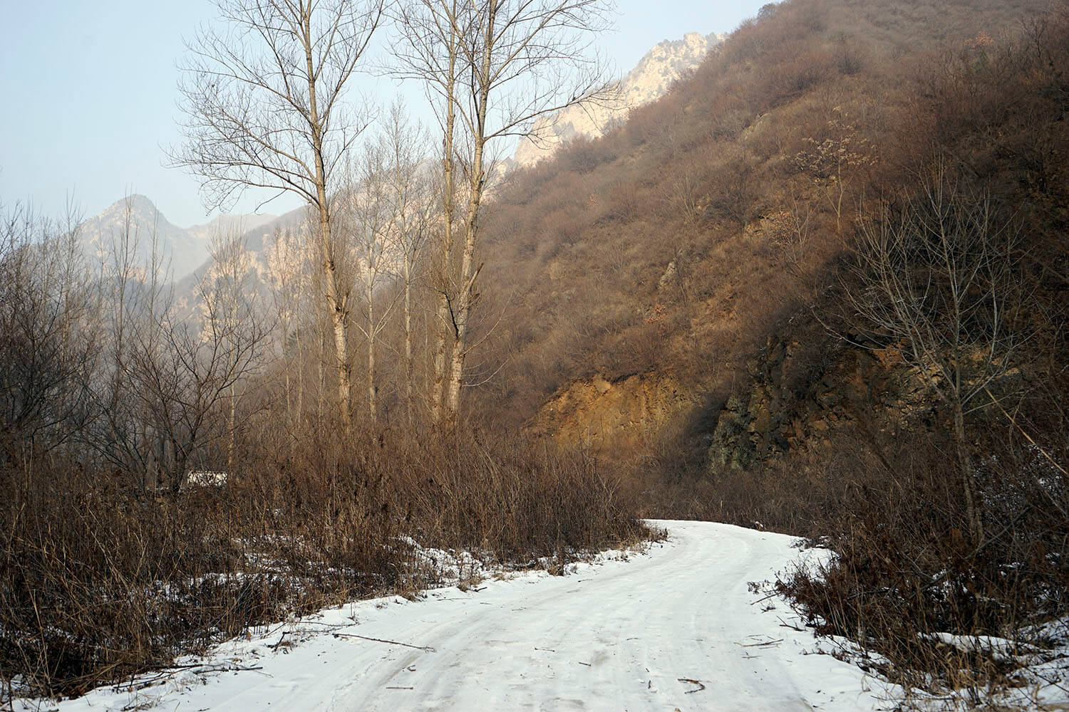 _DSC3788.jpg