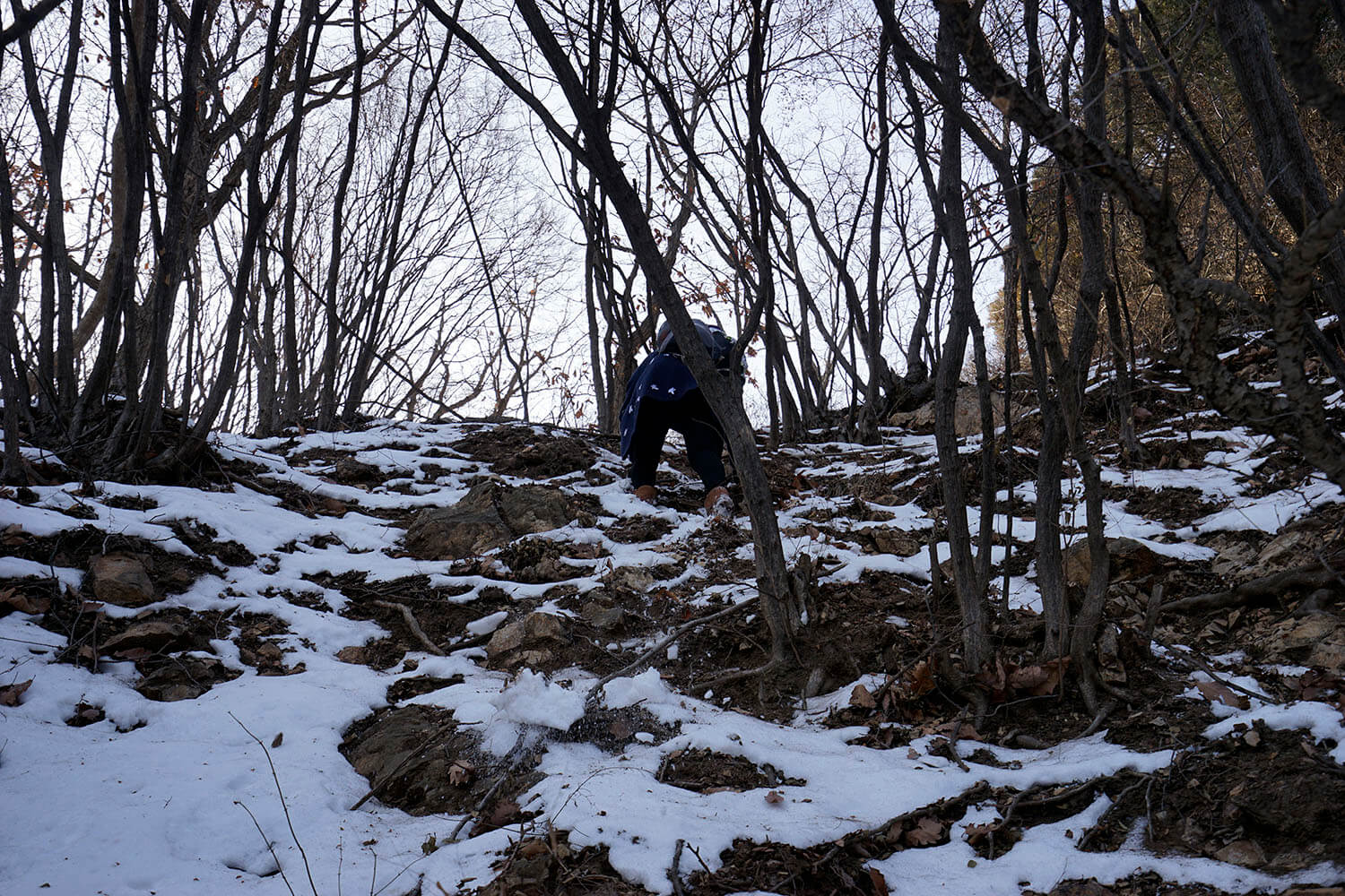 _DSC3712.jpg