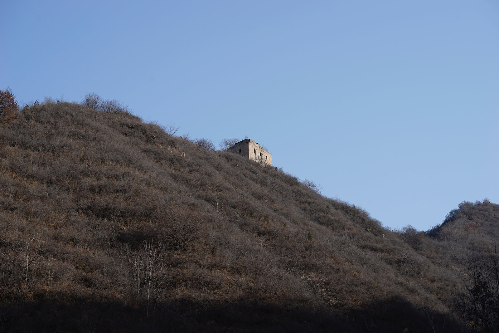 _DSC3488.jpg