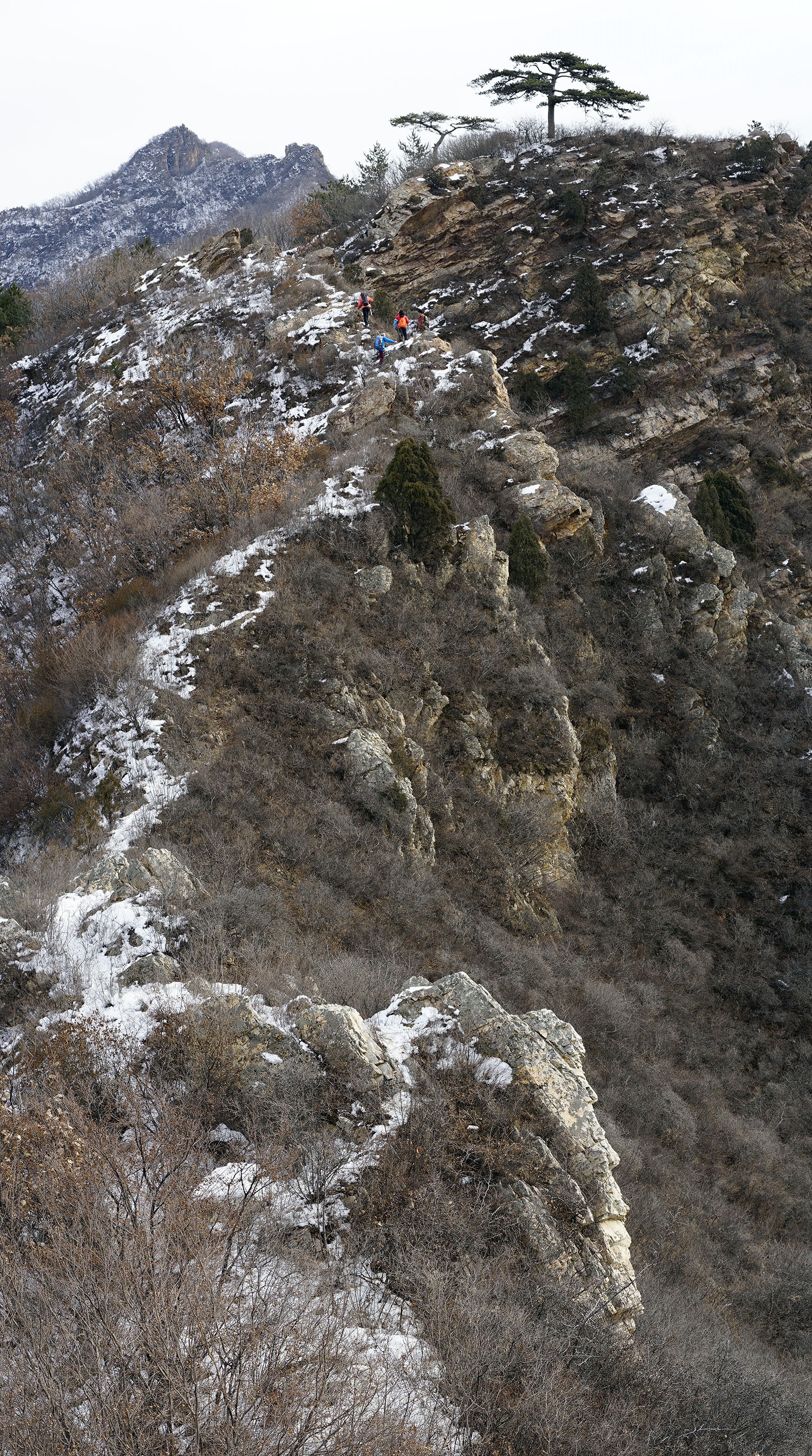 _DSC2109.jpg