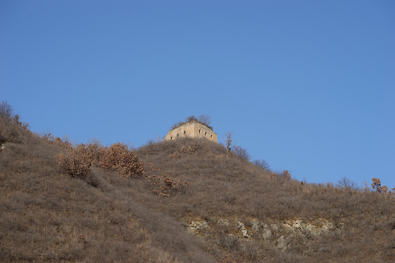 _DSC3489.jpg