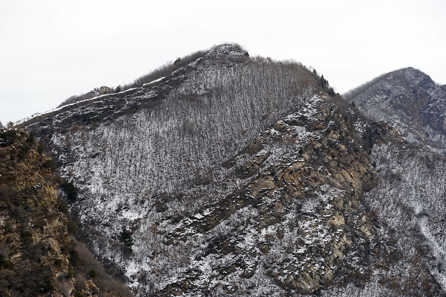 _DSC2122.jpg