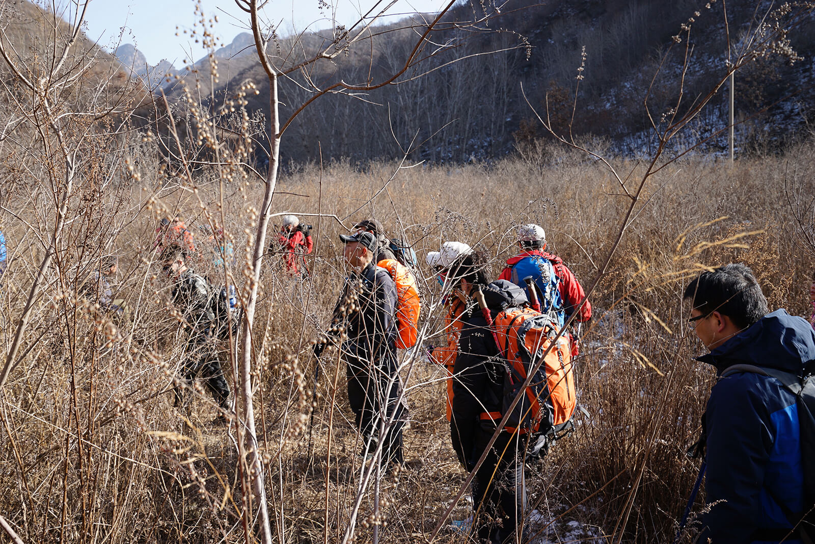 _DSC3494.jpg
