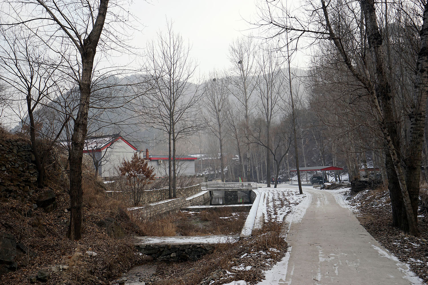 _DSC3800.jpg