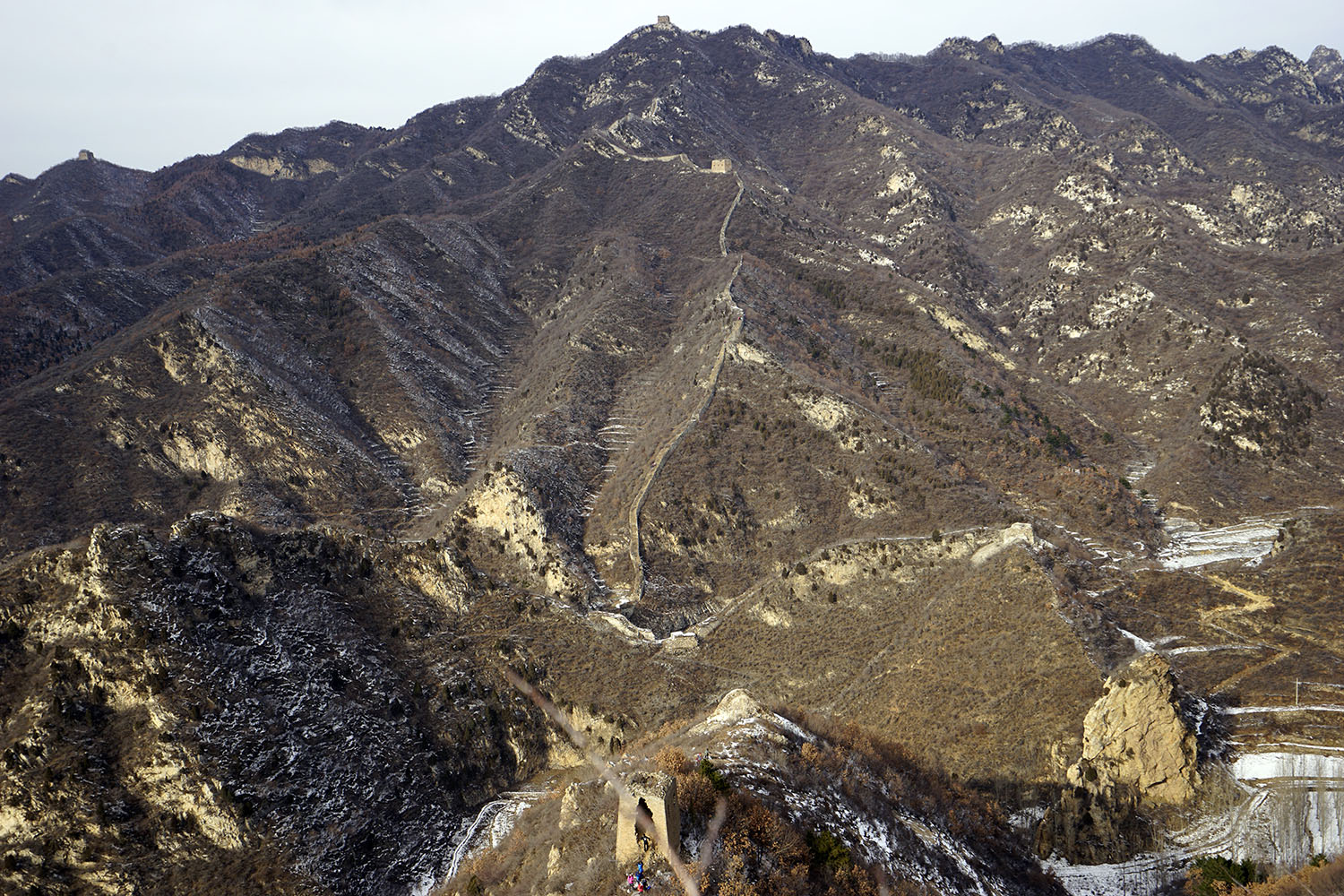 _DSC2203.jpg