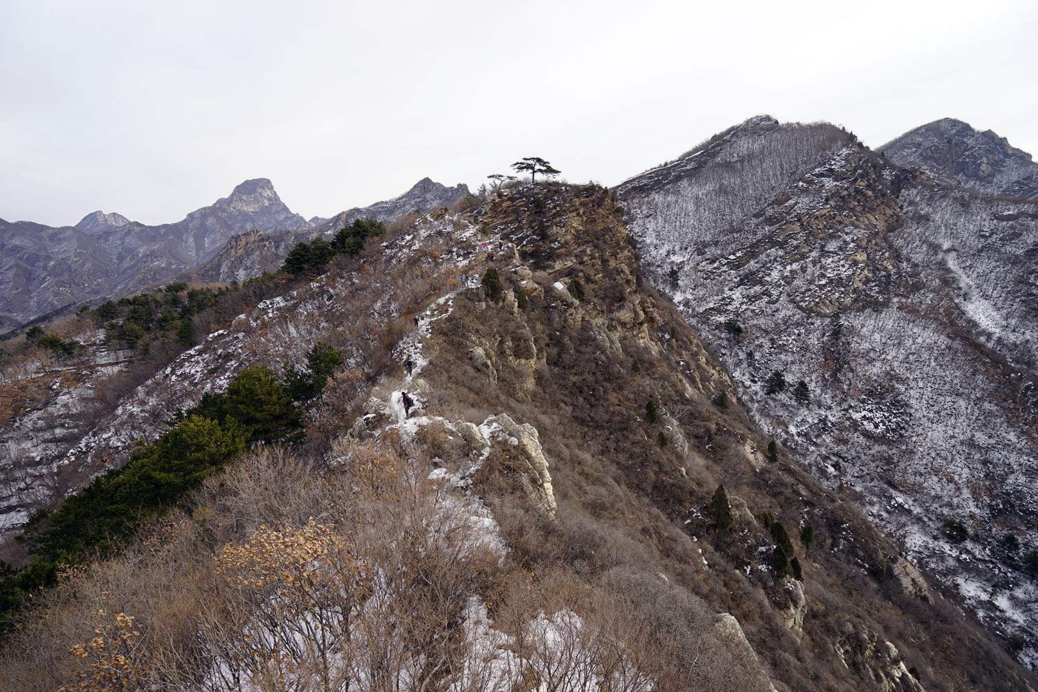 _DSC2100.jpg